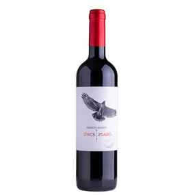 Ipacs-Szabó Nászút Helyett 2021